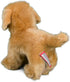 Douglas Chap Golden Retriever Stuffed Animal Plush Dog