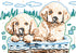 Ravensburger CreArt Cute Puppies Paint by Numbers Kit for Kids, 24 x 18 cm, Canvas & Acrylic Paints
