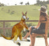 Jet Creations 40" Long Inflatable Kangaroo, Lifelike Blow-Up Aussie Joey Toy for Pool Fun, Home Decor