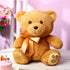 10 Inch Bear Stuffed Animal, First Bear Baby Shower Plush Toy for Wedding Birthday Gift (Brown)