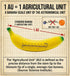 7" Banana for Scale - The Official Internet Measurement Tool - Foam Banana with Ruler - Funny Gag Gift Box, Novelty