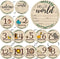RCHBUDI 8 Pcs Baby Monthly Milestone Cards- Baby Milestone Signs Wooden Discs 8