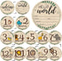 RCHBUDI 8 Pcs Baby Monthly Milestone Cards- Baby Milestone Signs Wooden Discs 8