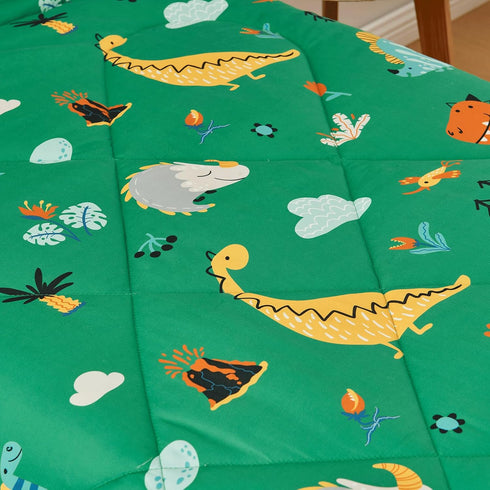 4 Set 2 Set, 1 1 1 1 beeweed Pieces Dinosaur Toddler Bedding Boys Girls, Sides Design Bed in a Bag Comforter Includes