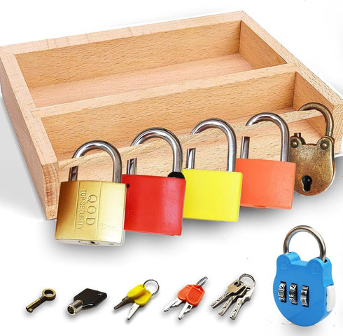 Montessori Lock and Key Toy Set for Toddlers, Educational STEM Matching Games with Wooden Tray for Kids 3-5