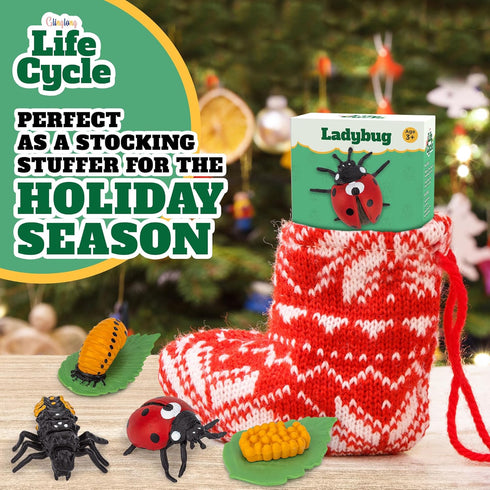 Life Cycle Kit Toy Science Montessori, Realistic Figurine Toys for Kids, Easter Basket Stuffers for Ages 3-9