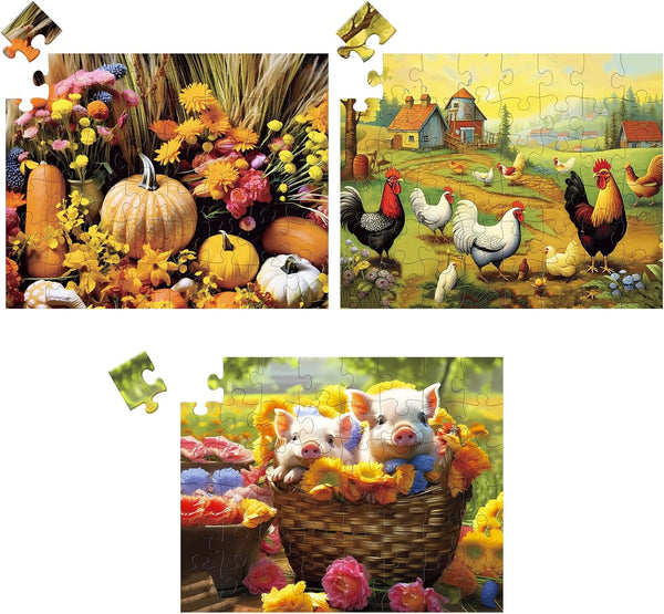 48 Large Piece Puzzles for Seniors, 3 Pack Dementia Jigsaw Puzzles for Elderly, Easy Activities for People with Dementia