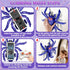 360 3 3-12 Infowush Wall Crawler Spider, Rechargeable Remote Control Robot Kids Toys, Rotating RC Wall Climbing Spider