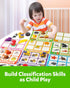 Coogam Sorting Toy for Toddlers, Animals, Dinosaurs, Fruits, Vehicles, Fine Motor Montessori Game for Kids