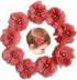 YYCRAFT Baby Girls Chiffon Flower Hair Clips with Rhinestones and Pearl, 10 pcs Coral Hair Accessory for Kids
