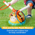 2-in-1 4-8 1-3, 3-5, w/4 Billeeit Musical Jump and Toss Ring Game Toy, Indoor and Outside Jump Toy for Kids Ages