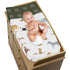 Sweet Jojo Designs Jungle Animals Boy Girl Baby Nursery Changing Pad Cover Hunter Green Yellow Grey Rust Orange Black