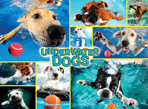 Buffalo Games - Underwater Dogs 1000 Piece Jigsaw Puzzle