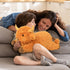 5 lbs 22 JellyMallow Highland Cow Weighted Stuffed Animals in, Highland Cow Weighted Stuffed Animal Plushies, Adorable
