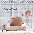 Sweet Jojo Designs Vintage Airplane Boy Baby Satin Fitted Crib Sheet Infant Newborn Nursery Toddler Bed Room Standard