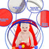 Kids Play Tunnel for Toddlers 1-3, 6 Foot Pop Up Crawling Toy with 2 Mesh Sides, Indoor Outdoor Gift for Children