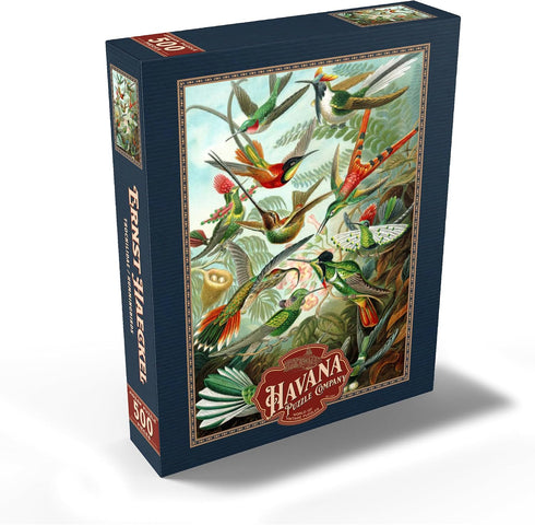 MyPuzzle Hummingbirds Vintage Art Poster, Ernst Haeckel - Premium 500 Piece Jigsaw Puzzle for Adults