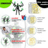 PkghoKids T13 T13 t-13 3D 5.5inch) Already Assembled Action Figure Accessories, Multi-Jointed Movable,for Collectors