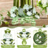 36 Coume Pcs Sage Green Baby Shower Favors Acrylic Pacifier Necklace Thank You Gift Bulk with Cards for Guests Prizes