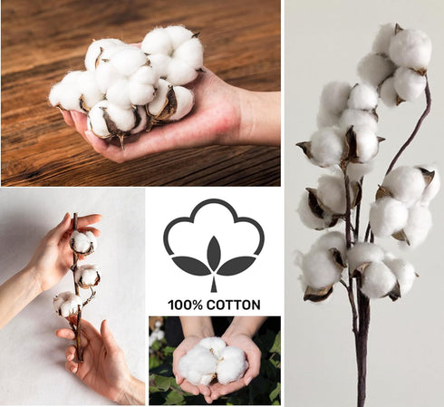 Baby Receiving Blankets, 100% Cotton Fabric, 1-Pack White, 30 x 40 Inches, 100% Cotton Interlock