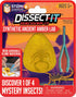 Discover-It Dissection Kit for Kids, Synthetic Amber Science Lab Kit to Learn