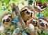 Ravensburger Sloth Selfie 500 Piece Jigsaw Puzzle, Unique for Kids and Adults, Softclick Technology 20 x 14 inches