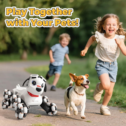 6-8, 8WD 8-12 BLF FUN Remote Control Robot Dog Toys Gesture Sensing Rc Stunt Car with Light and Music, Robot Pet Dog