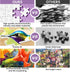 500 Piece Jigsaw Puzzle, Flower Hummingbird Puzzle for Adults, Birthday Party Fun for Family and Kids