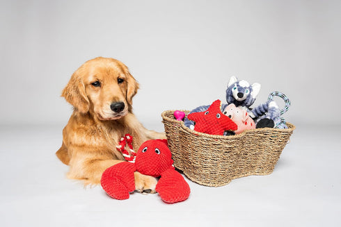 OtterPets (17x13 Dog Toy Basket, Bone Shaped Dog Toy Bin, Handmade Pet Organizer And Storage, Toy Box for Cats