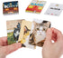 Name That Kitty - Purrrfect Cat Gifts for Girls, Kids Games, Crafts, and Themed Gifts for Cat Lovers