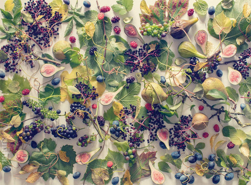 Buffalo Games Autumn Fruit 1000 Piece Jigsaw Puzzle