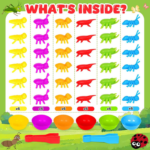 Counting 3 4 5 Insects Matching Toys with Sorting Bowls and Games Dice Montessori Preschool Educational Activities
