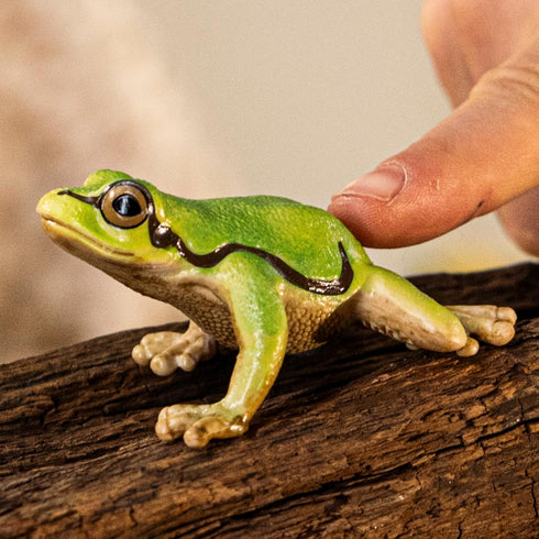 3+ 14882 Schleich Wild Life - European Tree Frog Toy Figurine. Realistic Hand-Painted Animal Toys for Boys and Girls.