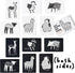 Wee Gallery Art Cards for Baby - Durable High Contrast Black and White Animal Flashcards for Newborns