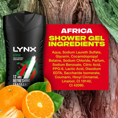 Lynx 225ml Shower Gel Africa