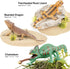6PCS Large Lizard Figurines Rainforest Animal Toys, Realistic Plastic Reptile Animal Figurines, Includes Bearded