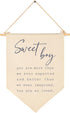 GEANHIL Sweet Boy-Baby Banner Pennant Gift Shower-Flag Decor Gift for Boys Newborn Kids-Banner