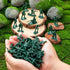 100 Pcs Army Men Action Figures, Plastic Classic Green Army Men Toys for Boys, Multiple Poses Soldier Action Figures