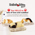 Minis Pug, Realistic Lifelike Stuffed Interactive Plush Toy, Electronic Companion Pet Puppy
