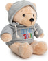Ganz 9" Get Well Soon Teddy Bear - Gray Hoodie Feel Better Gift for Kids & Women