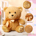 10 Inch Bear Stuffed Animal, First Bear Baby Shower Plush Toy for Wedding Birthday Gift (Brown)