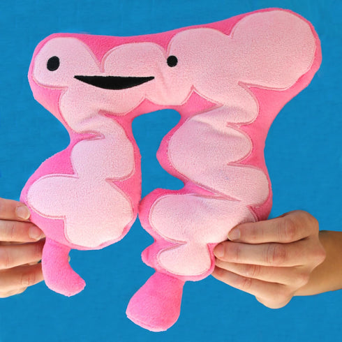I Heart Guts 11" Colon Plush - You Move Me - Gift for Surgery Recovery, Get Well, Cancer Support, IBS, IBD