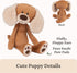 1 15" GUND Take-Along Friends, Masi Puppy Dog Plush Stuffed Animal for Ages and Up, Brown/Cream