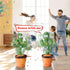 Baby Talking Cactus Toy, Dancing Cactus Repeats What You Say, Infant Sensory Toys for Ages 0-2, Funny Gifts