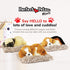 Mini Cavalier King Charles, Realistic Battery-Operated Dog Toy, Calming Companion for Kids & Elderly