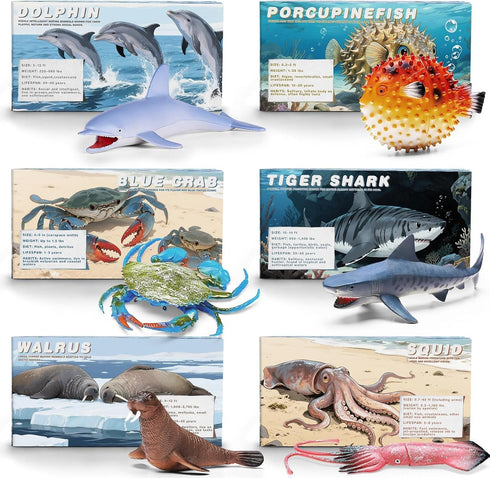 MOEAWS 20 3+, Pcs Ocean Animal Toy with Educational Booklet, Plastic Sea Animal with Gift Box, Mini Sea Creature