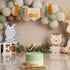 1st Wild One High Chair Banner - Lion Highchair Banner, Safari Animal Theme First Birthday Tassel Banner for Birthday