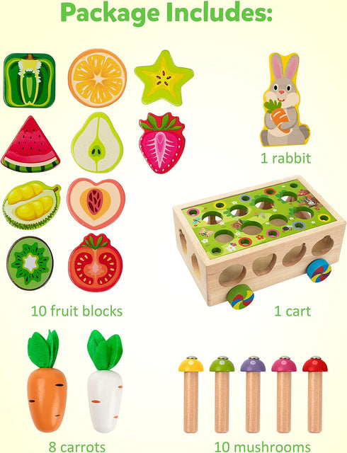 3 4 5 Coogam Montessori Fine Motor Toys for Baby Toddler, Wooden Shape Sorter Carrot Harvest Game for Easter Basket