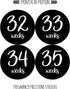 Pregnancy Weekly Belly Growth Stickers, Large Set of 36, Week to Week Photo Prop for Expecting Maternity Keepsake