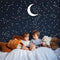 190 Gold Star Constellation Wall Decal for Kids Bedroom, Removable Outer Space Nursery Stickers, Zodiac Art Decor ZB162